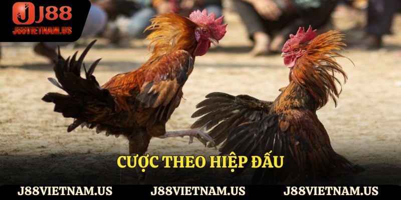 Cược theo hiệp đấu