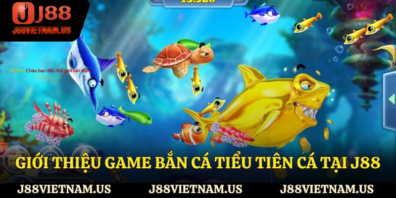 Giới thiệu game bắn cá tiểu tiên cá tại J88